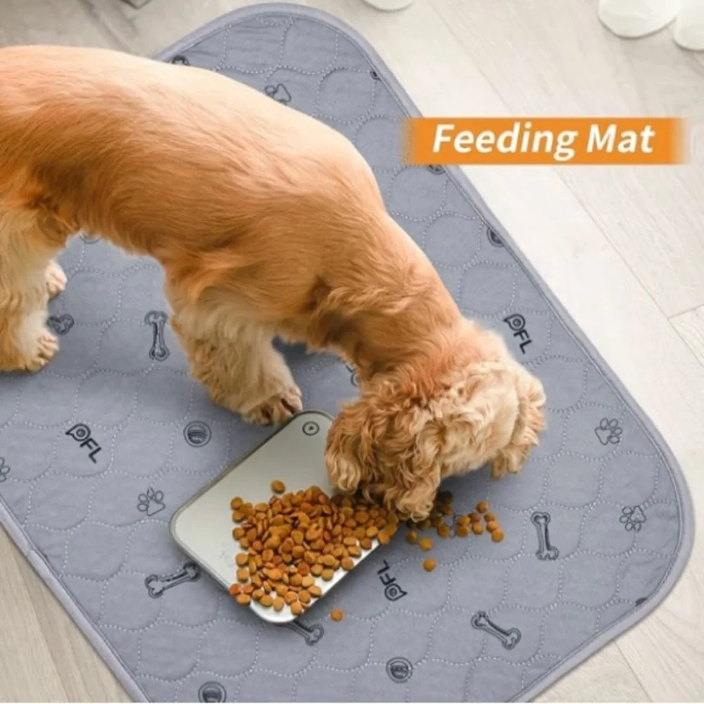 Dog Training Pad 🐶 - Picture 5 of 5